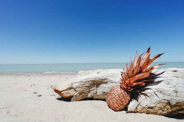 Pineapple Driftwood - Premium Fragrance Oil