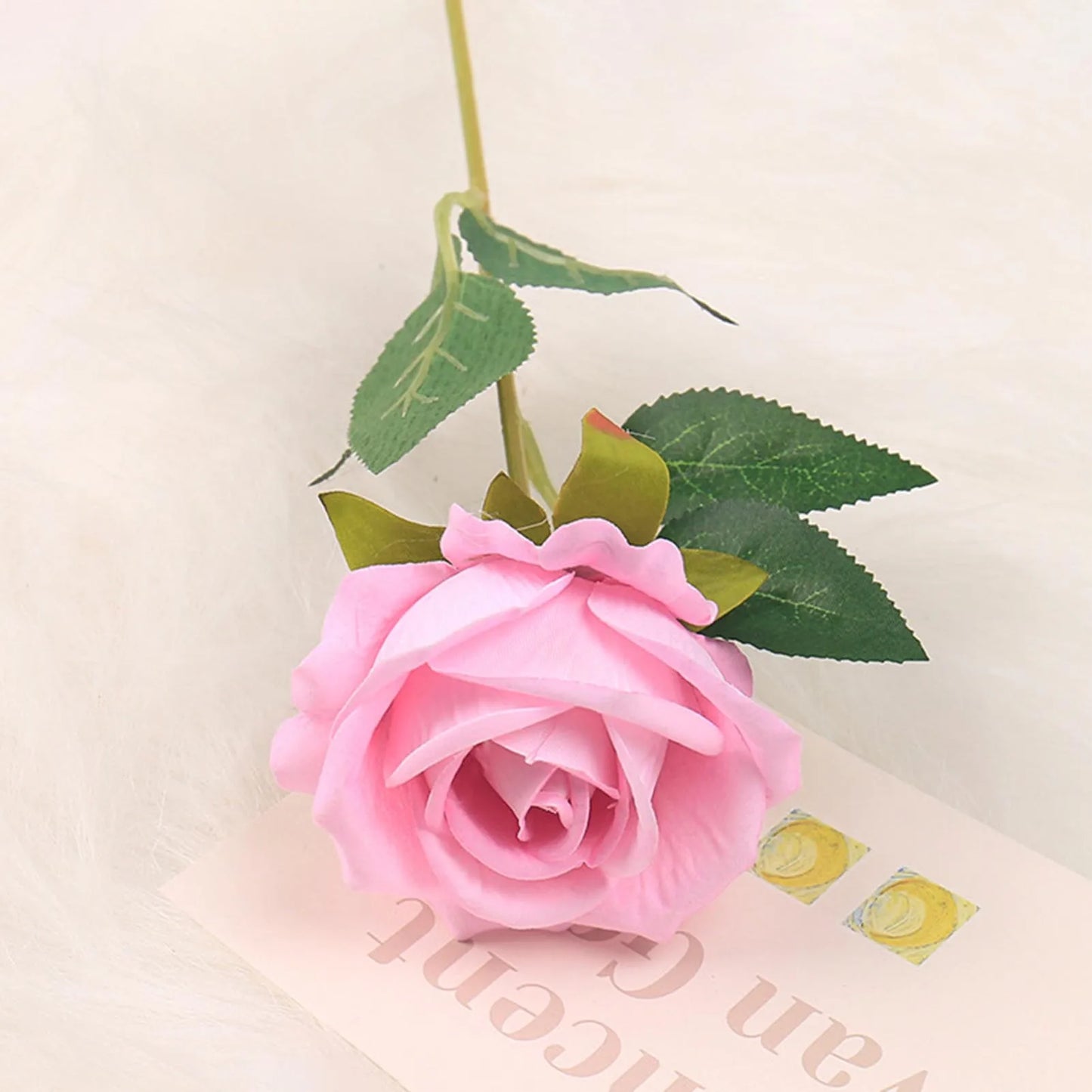 Pink rose with green leaves on a light background