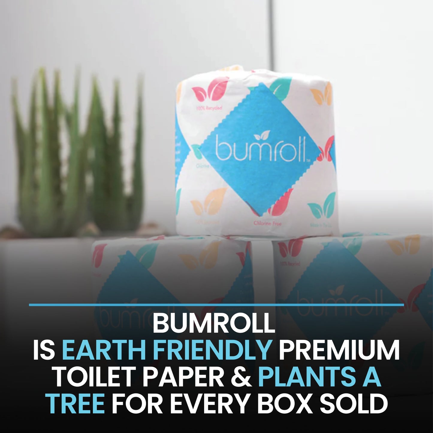 Bumroll, Premium Toilet Paper & Paper Towels Proudly Manufactured In The USA, Trees Planted In The United States-4