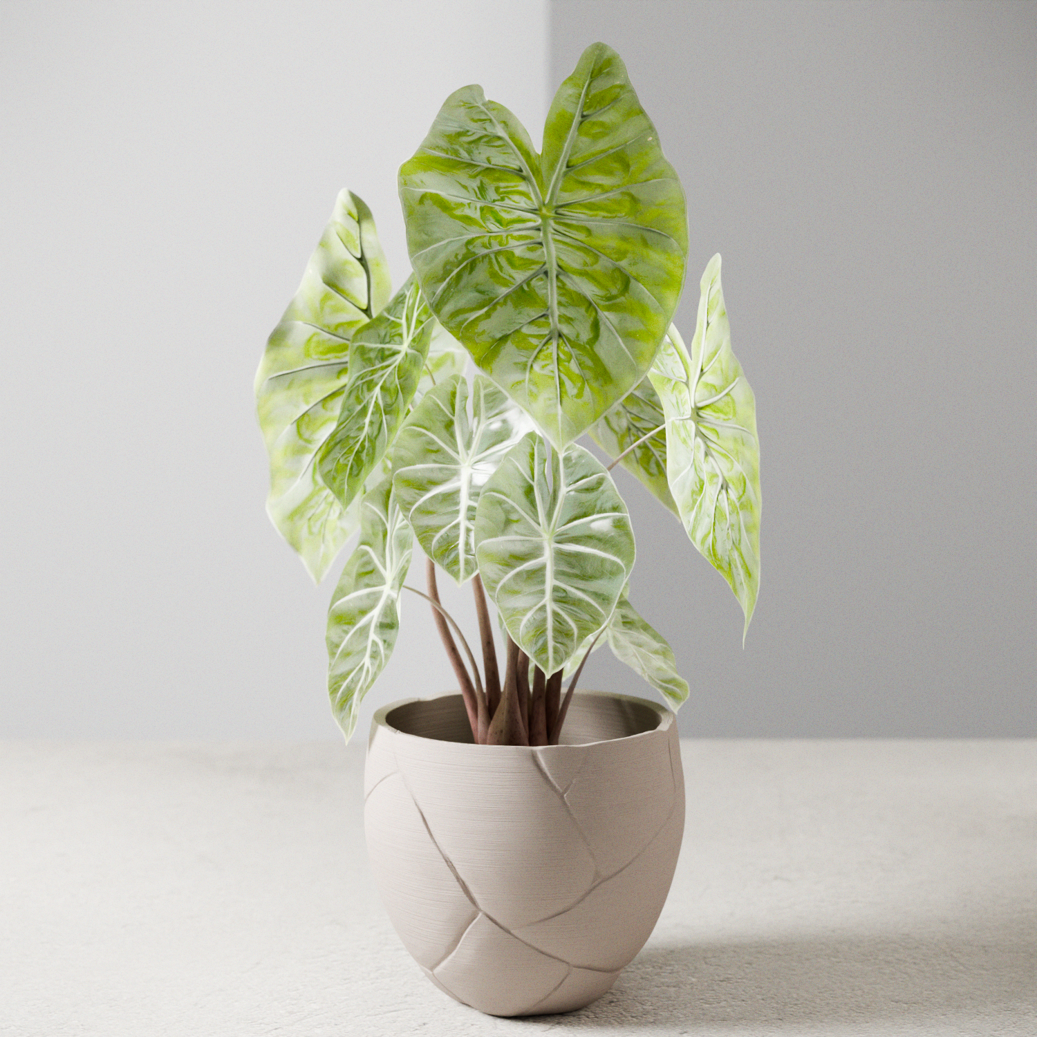 QUAKE Planter-1