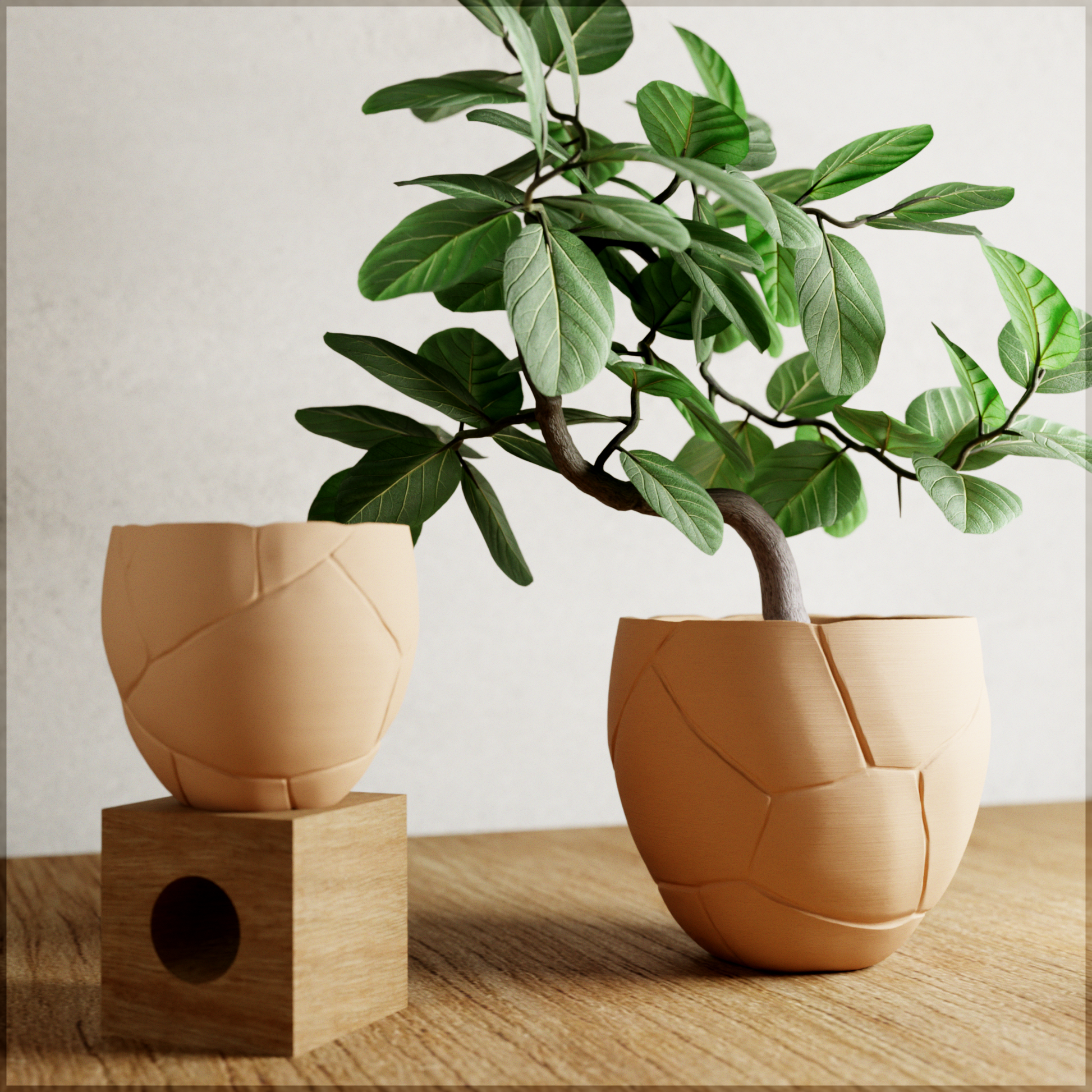 QUAKE Planter-3