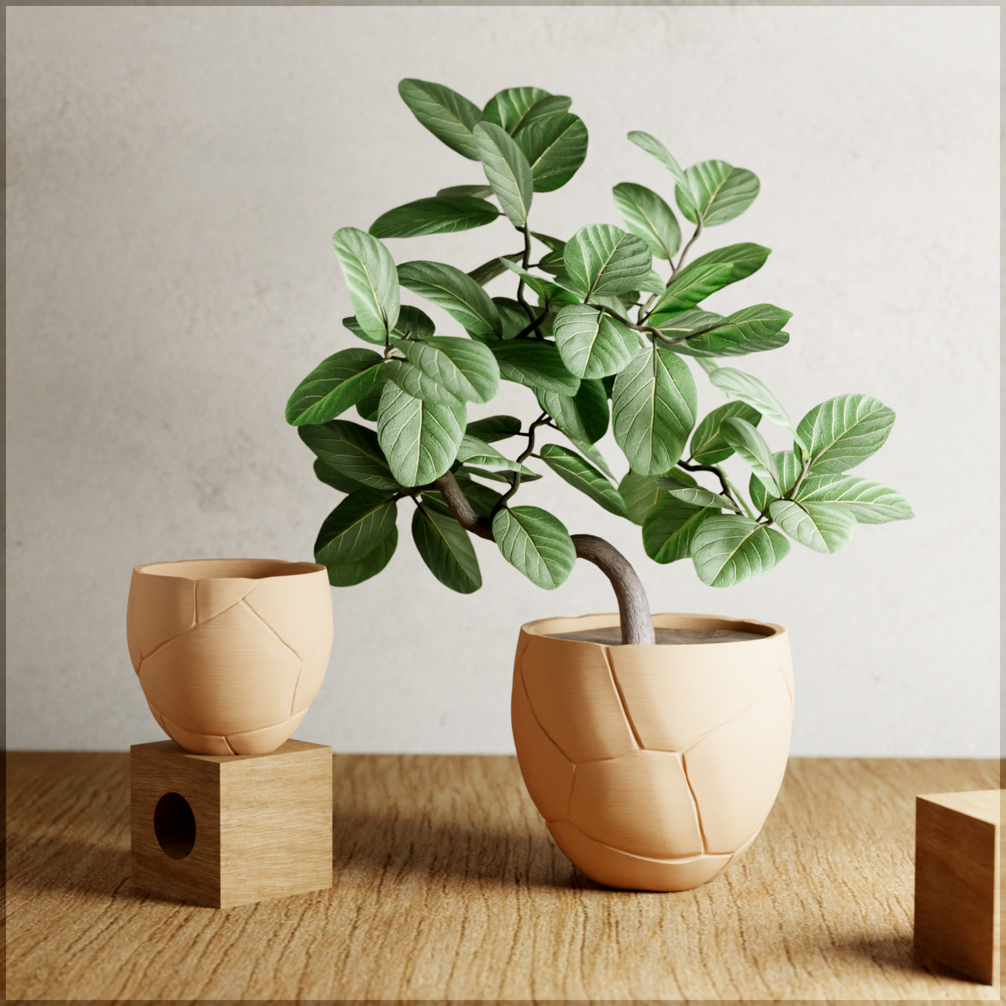 QUAKE Planter-5
