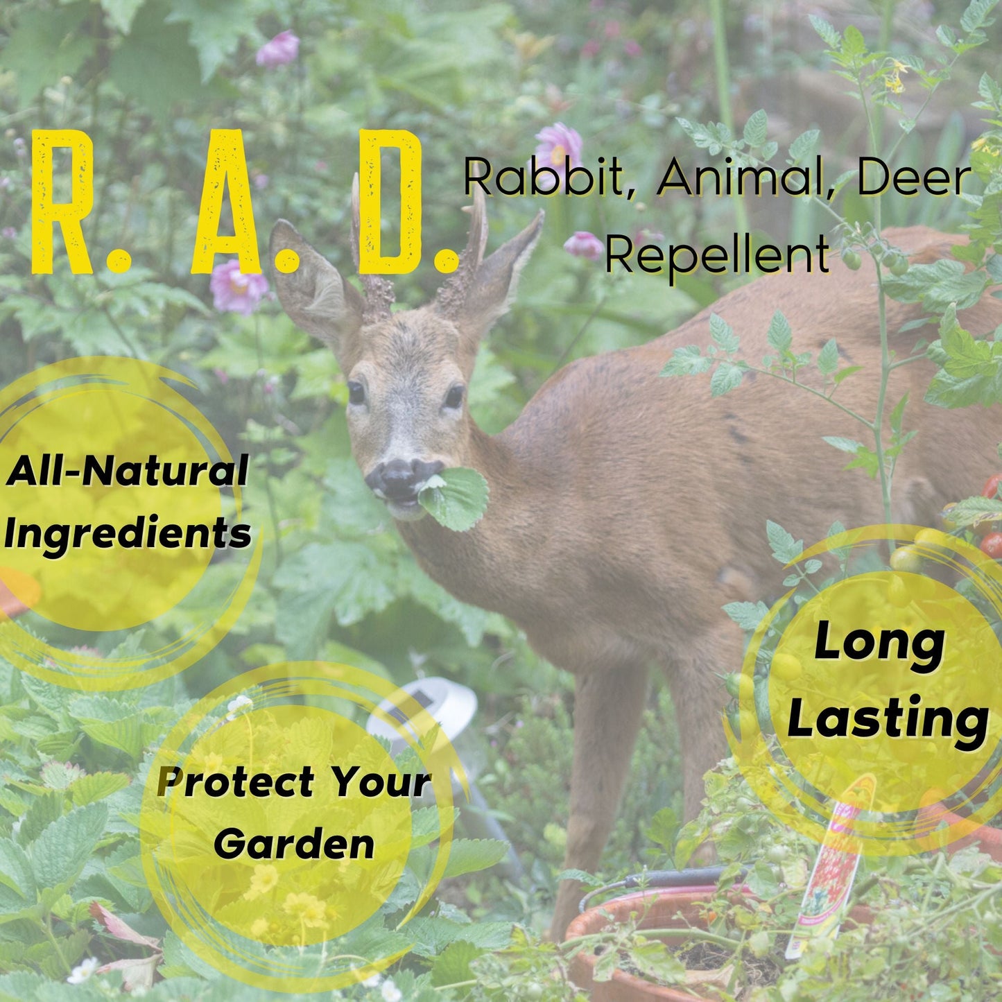 R.A.D.; Rabbit, Animal, Deer Repellent Gallon + Concentrate Bundle