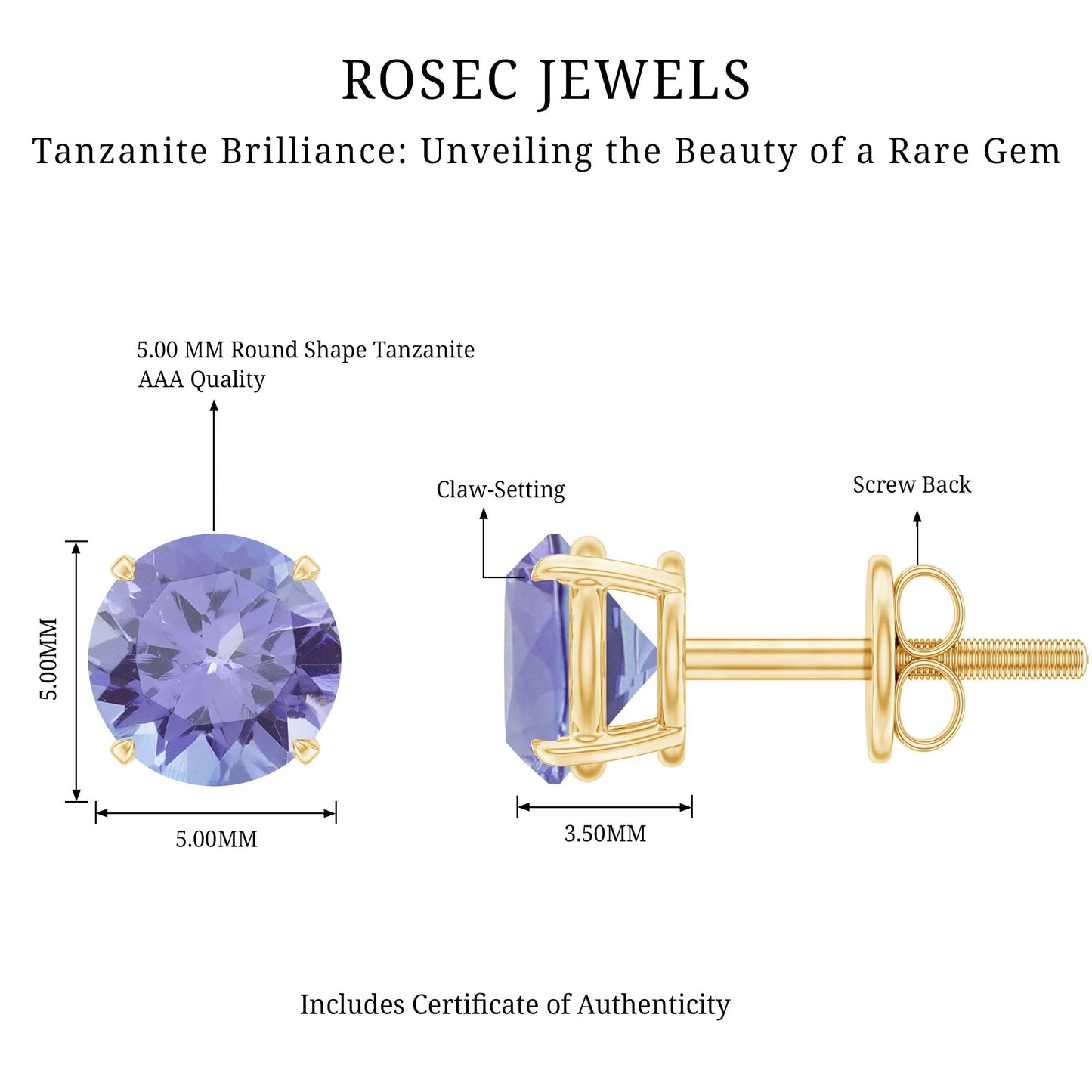 1 Carat Round Cut Tanzanite Stud Earrings for Women