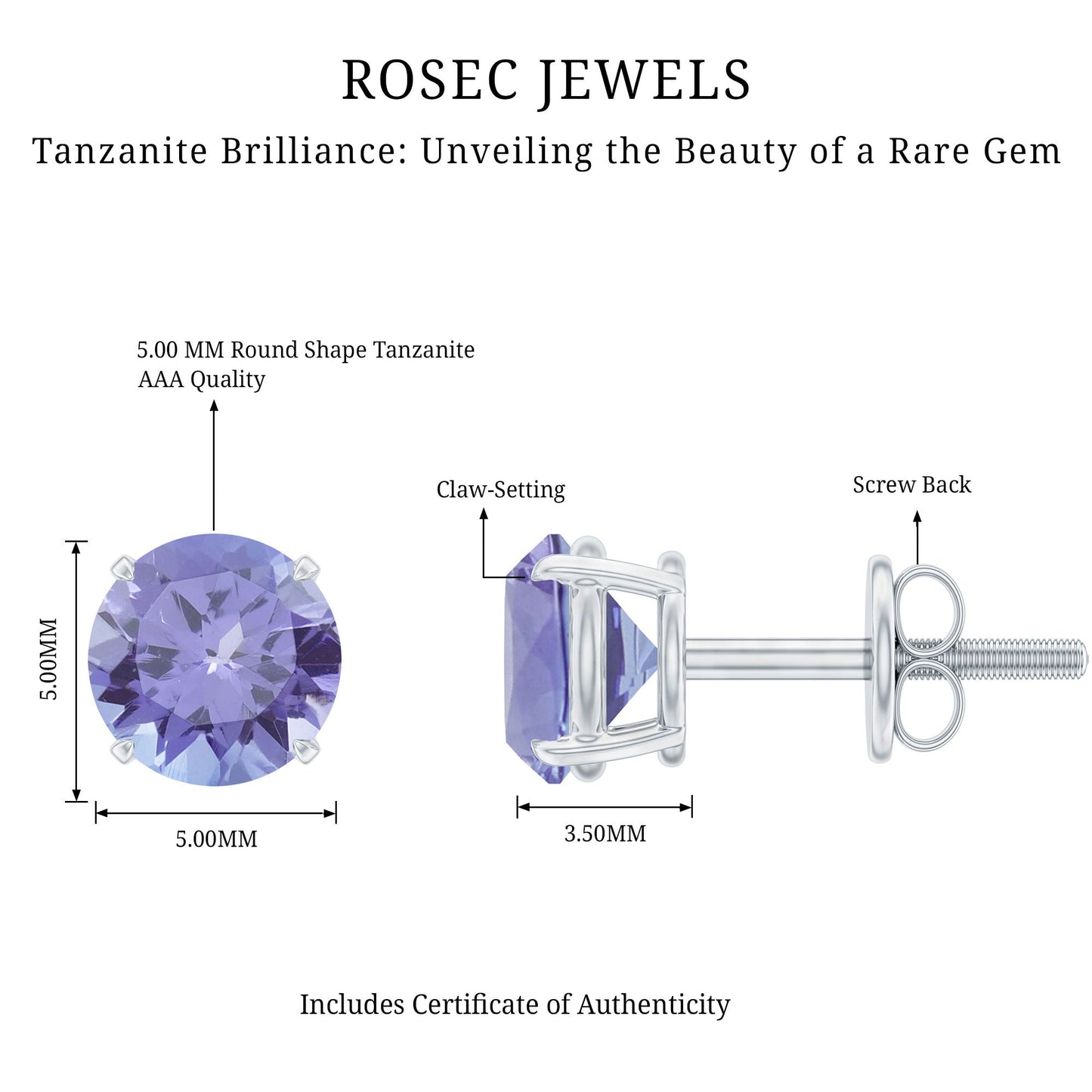 1 Carat Round Cut Tanzanite Stud Earrings for Women