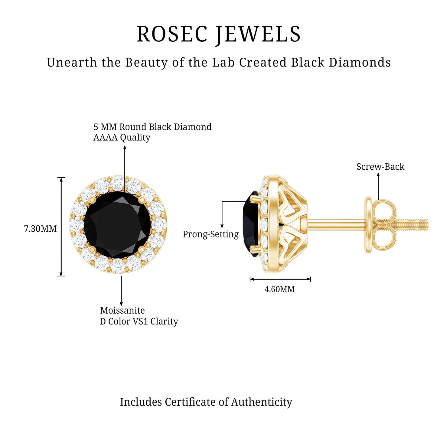 2 CT Created Black Diamond and Moissanite Halo Stud Earrings