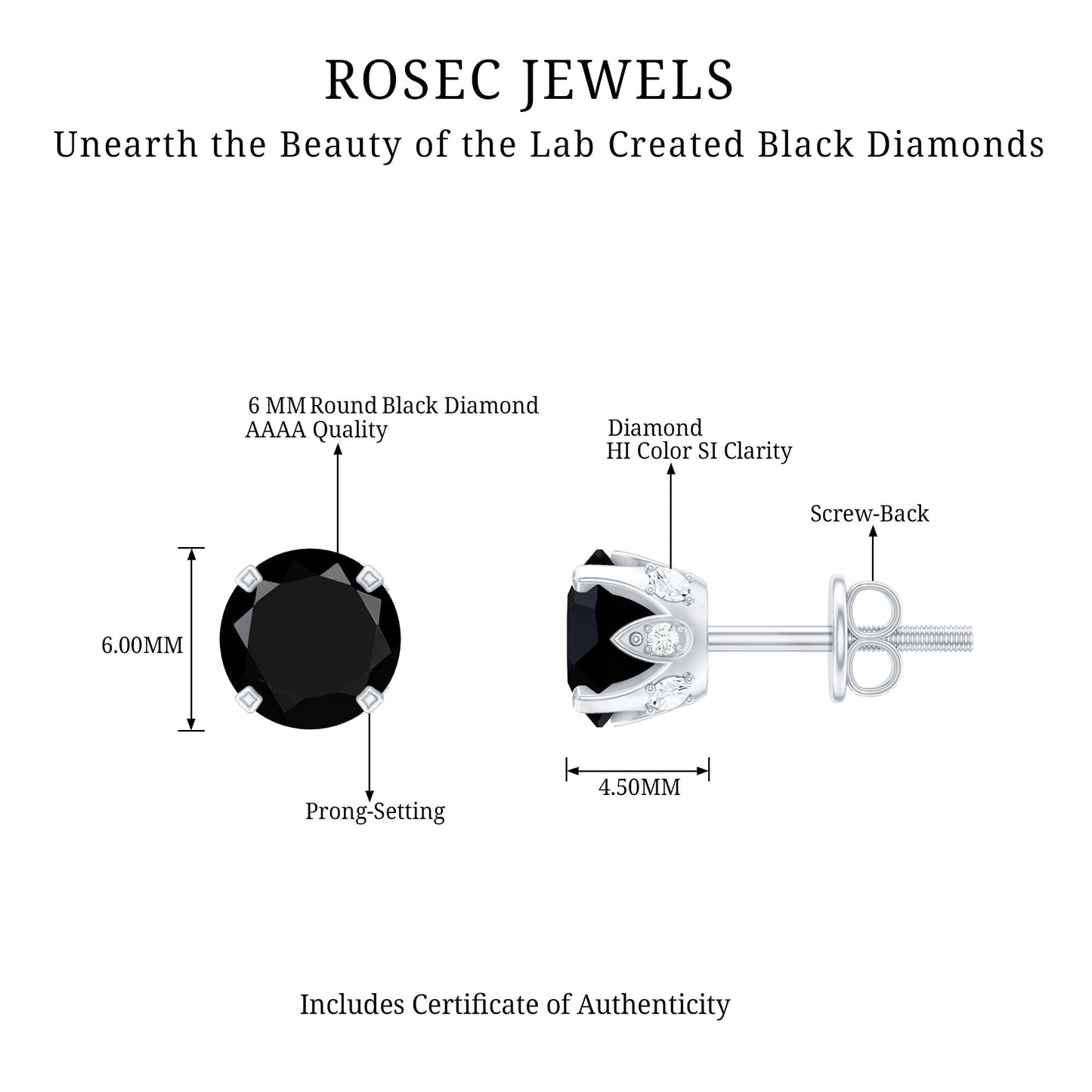 3 CT Lab Created Black Diamond Stud Earrings with White Diamond