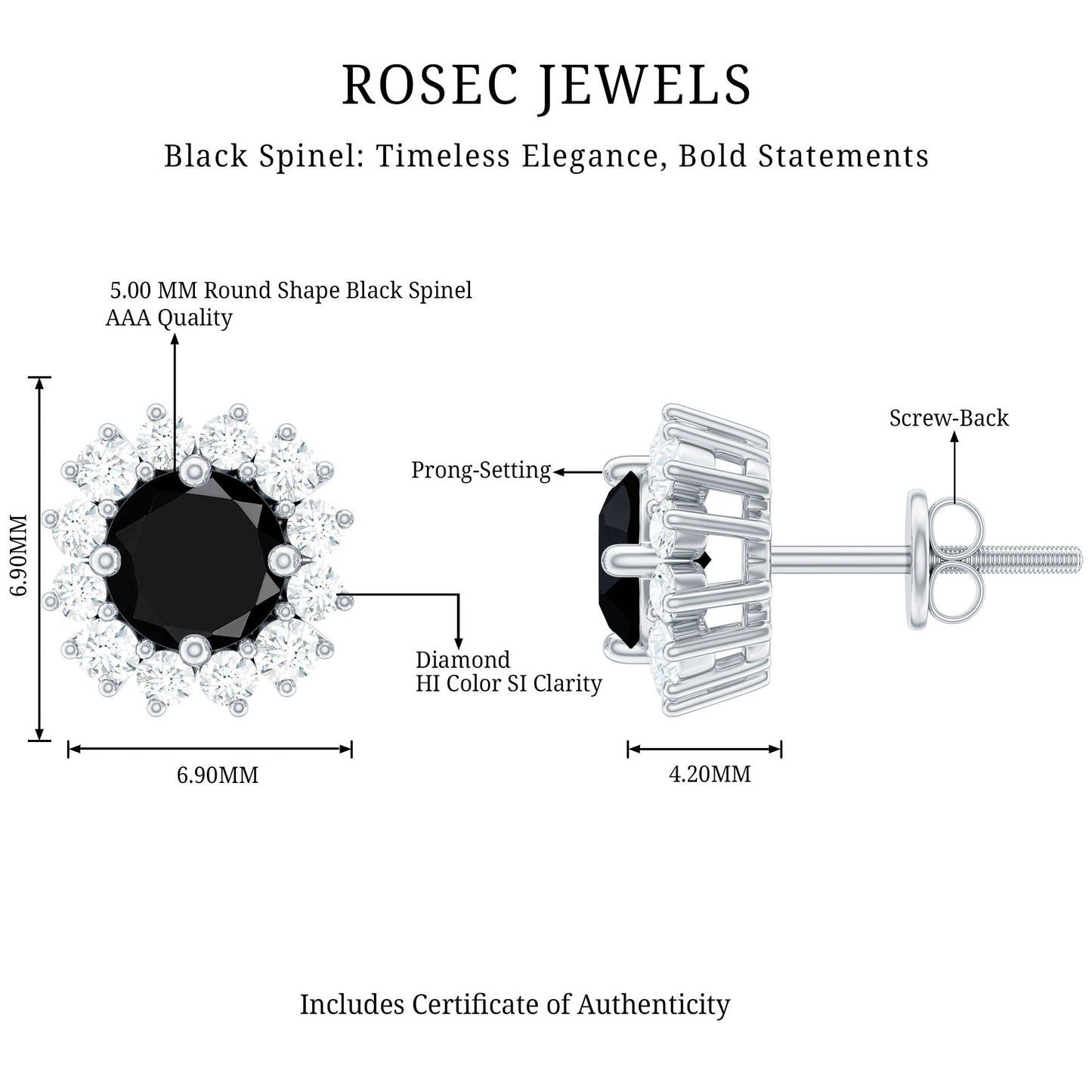 Natural Black Spinel Diamond Stud Earrings with Screw Back