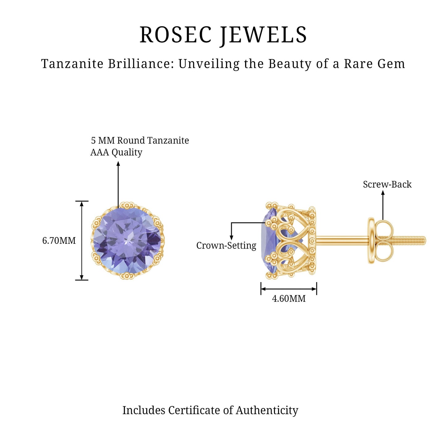 Natural 1 Carat Tanzanite Crown Stud Earrings with Screw Back