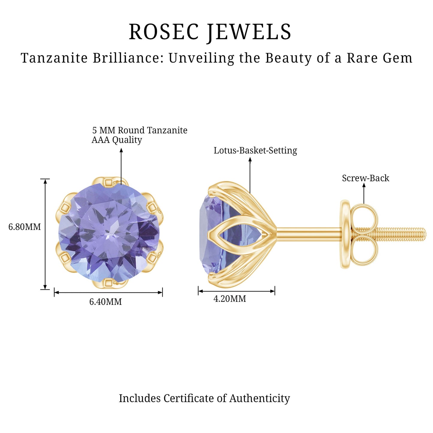 1 Carat Round Cut Tanzanite Solitaire Stud Earrings for Women