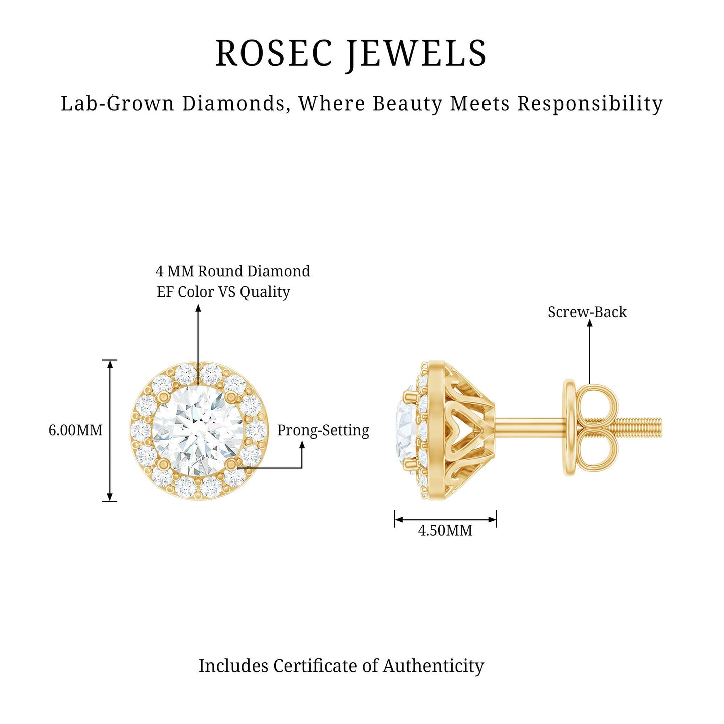 0.64 CTW Lab Grown Diamond Halo Stud Earrings (4mm, Screw Back)