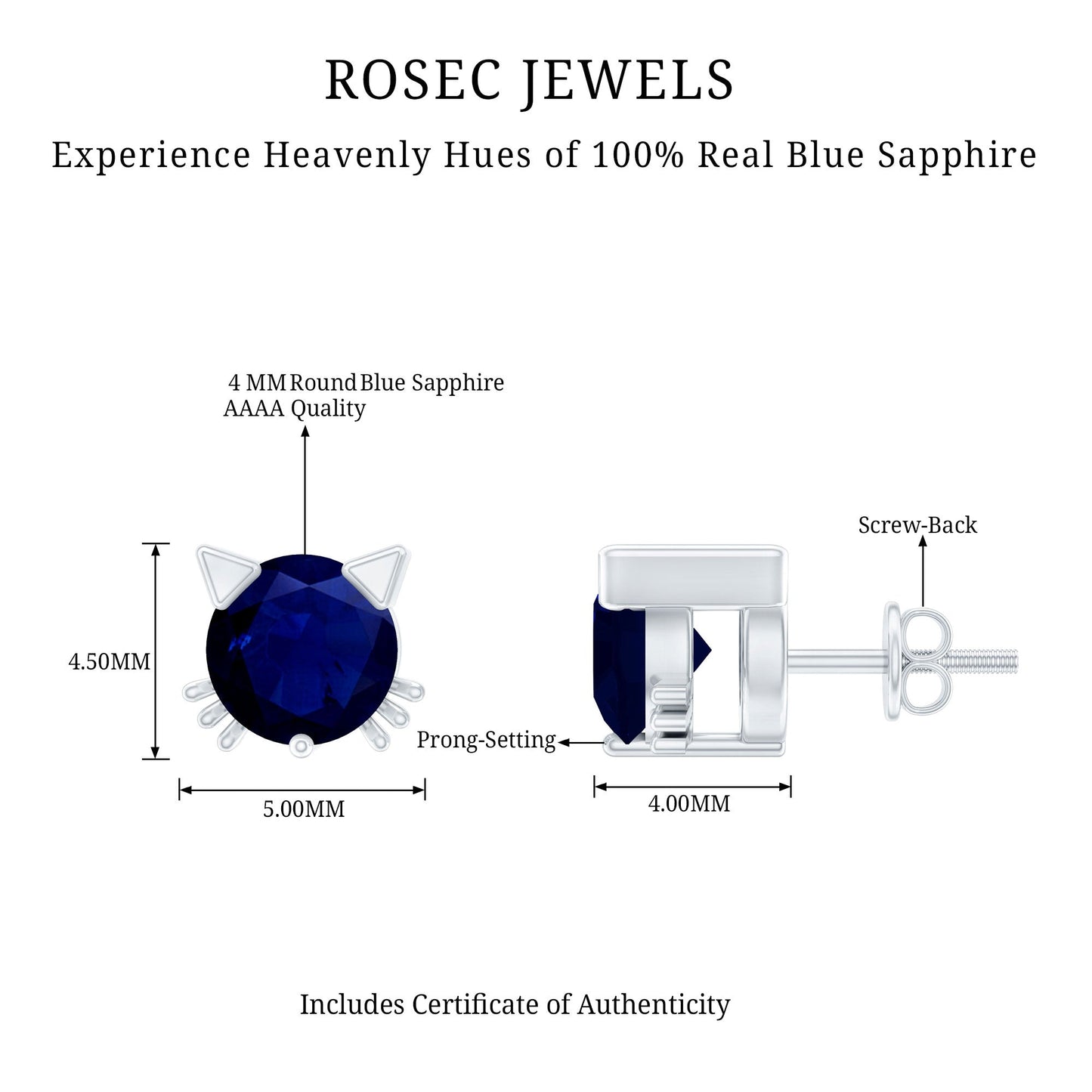 Natural 0.8 Carat Blue Sapphire Cat Stud Earrings for Women