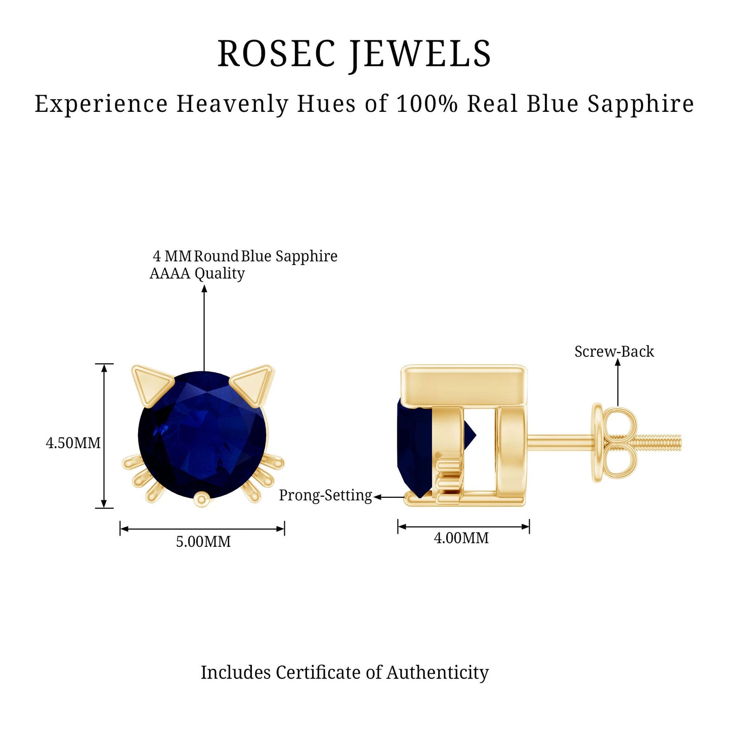 Natural 0.8 Carat Blue Sapphire Cat Stud Earrings for Women