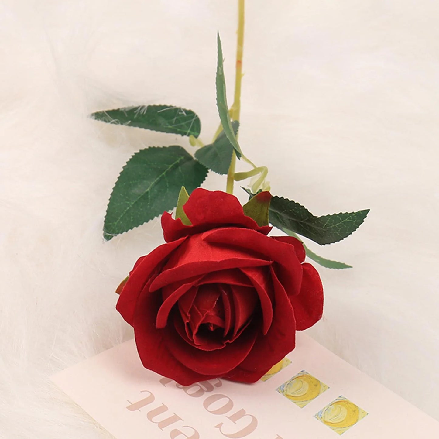 Red rose with green leaves on a white background