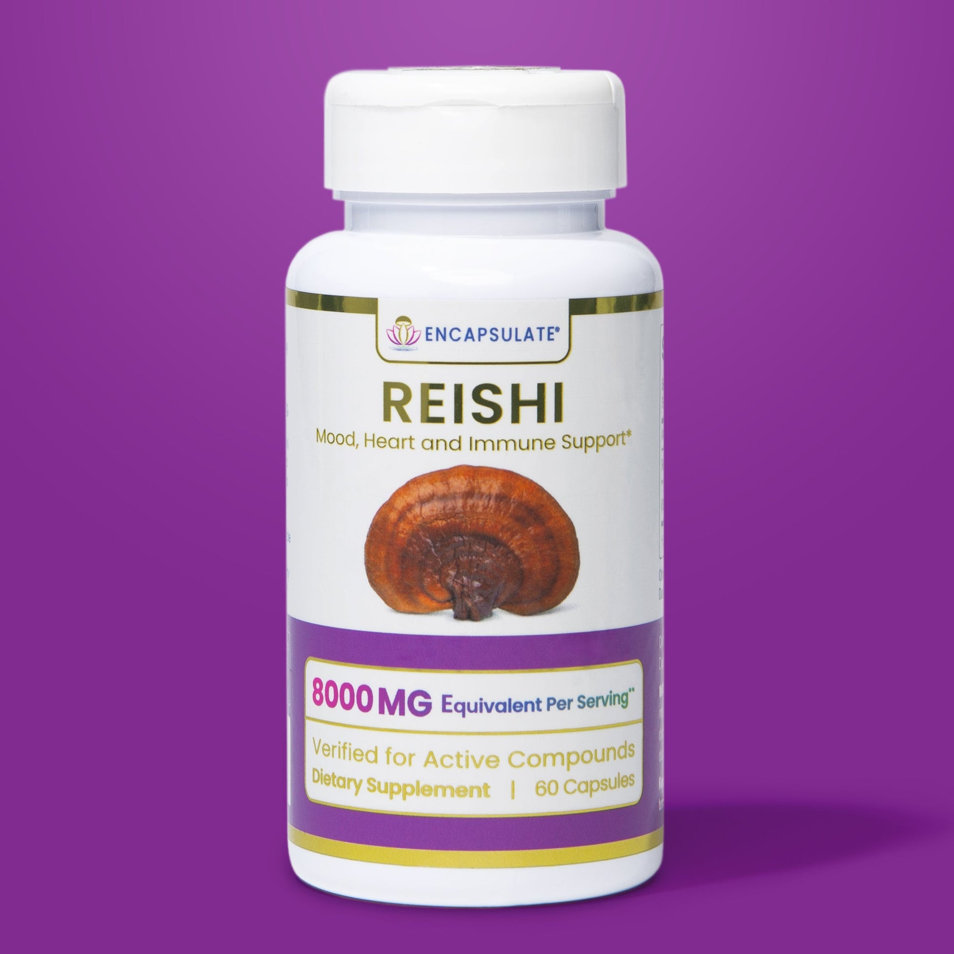 Reishi Mushroom 8:1-0