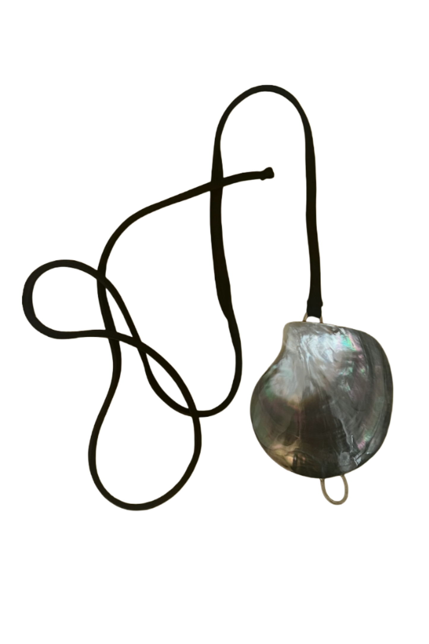 Shell Belt