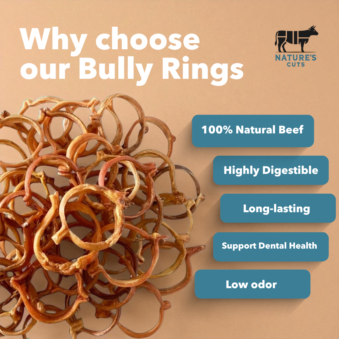 4" Bully Rings Display Box-3