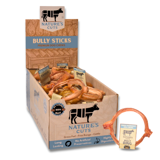 4" Bully Rings Display Box-0