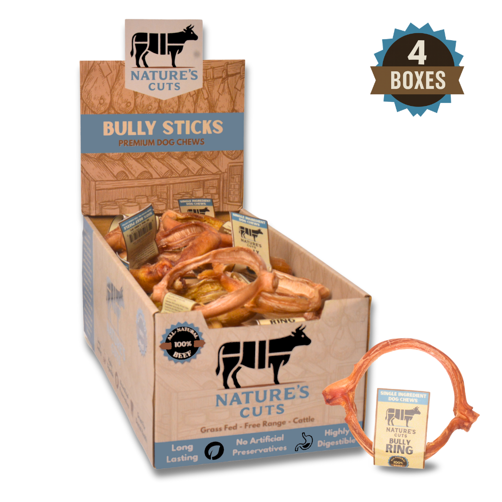 4" Bully Rings Display Box-6