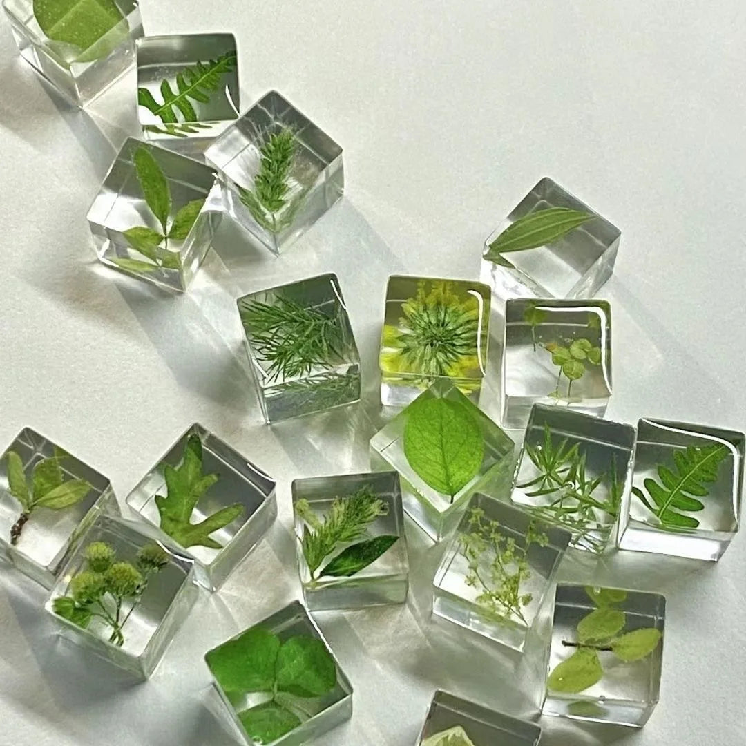 Plant Embossingflowers Dried Flower Specimen Decoration DIY Resin Drop Glue Flower Material Decoration Gifts