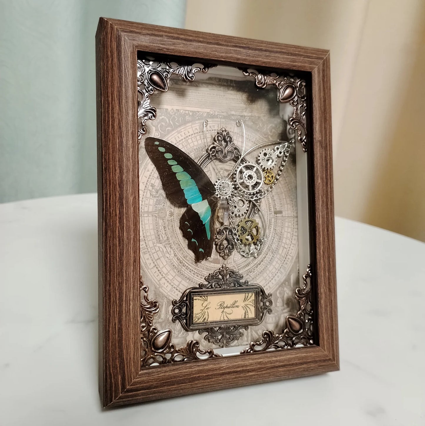 Real Butterfly Specimen Framed 3D Mechanical Butterflies Collection Punk Retro Style Handcraft Home Decor Education Unique Gift