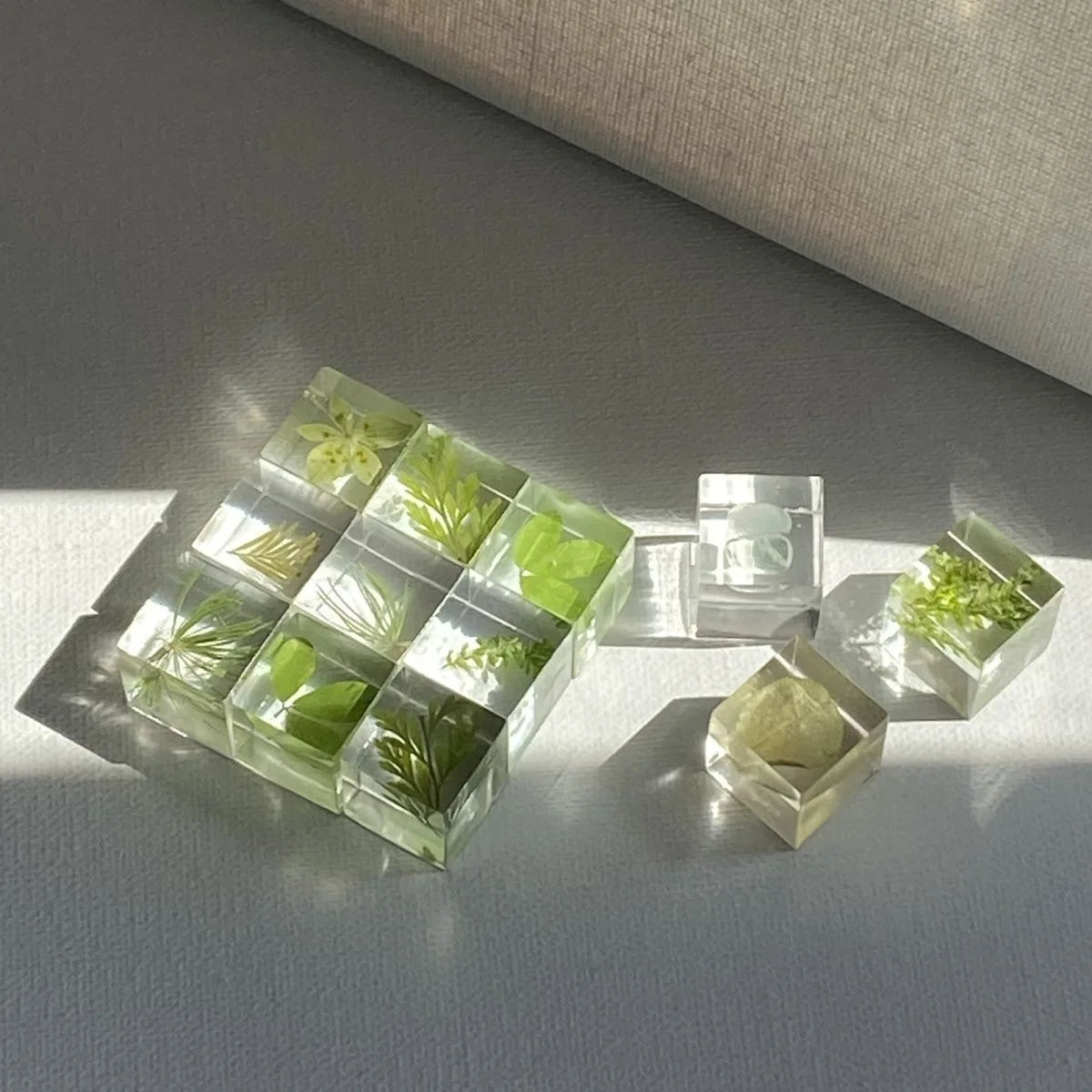 Plant Embossingflowers Dried Flower Specimen Decoration DIY Resin Drop Glue Flower Material Decoration Gifts