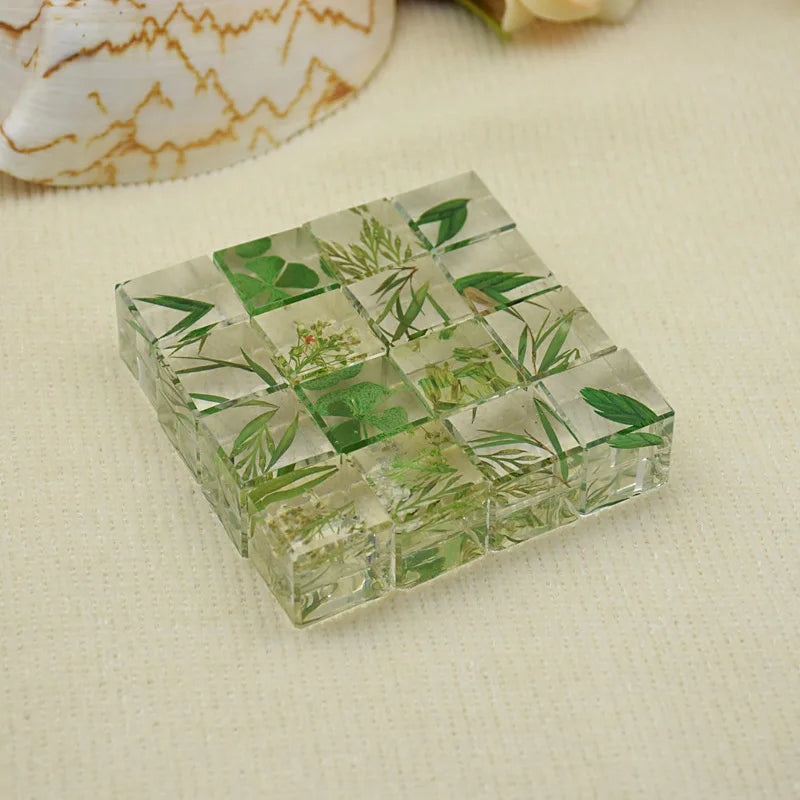 Plant Embossingflowers Dried Flower Specimen Decoration DIY Resin Drop Glue Flower Material Decoration Gifts
