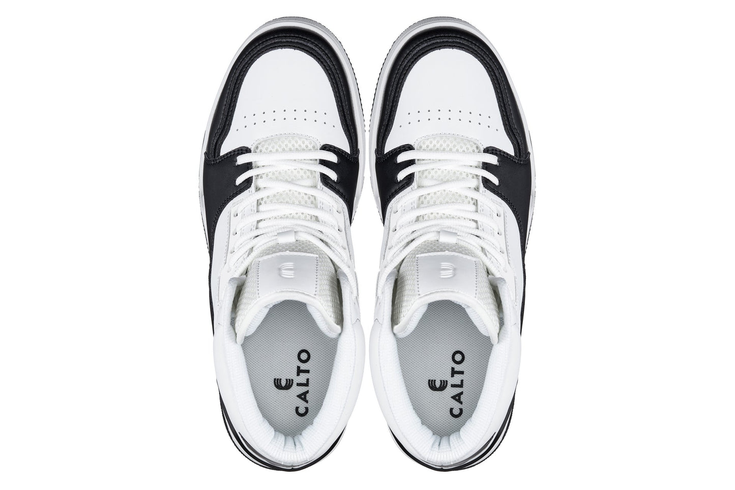 CALTO - S4752 - 3 Inches Taller (White/Black) - High Top Sneakers