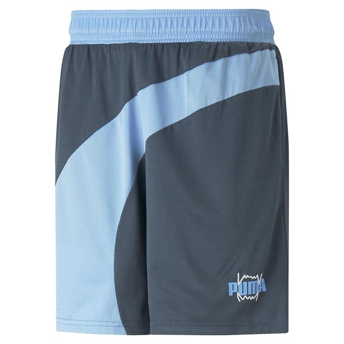 Sports Shorts Puma Blue-0