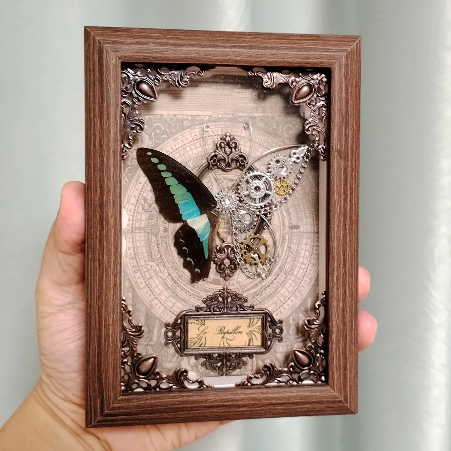 Real Butterfly Specimen Framed 3D Mechanical Butterflies Collection Punk Retro Style Handcraft Home Decor Education Unique Gift