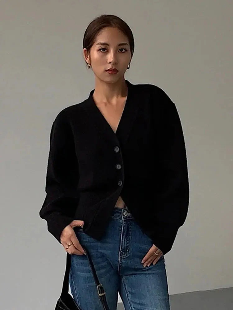 Women's V-Neck Long Sleeve Sweater