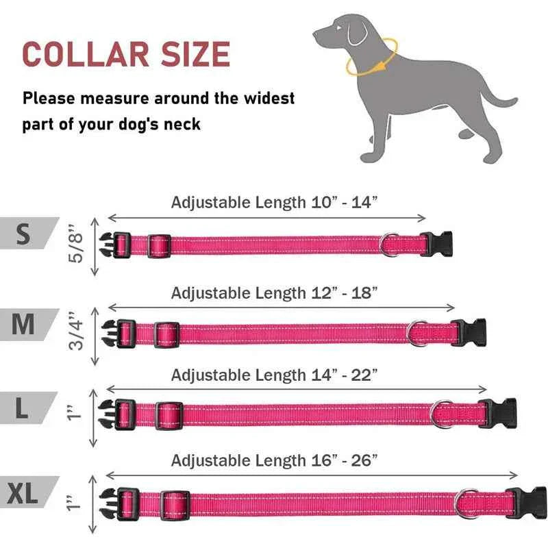 Reflective Adjustable Nylon Dog Collar Strap – Safety Traction Rope