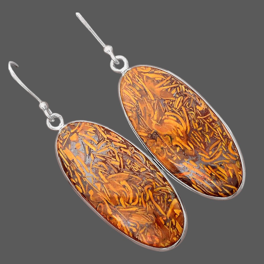 Natural Coquina Fossil Jasper India Earrings E-1001 SDE87862-2