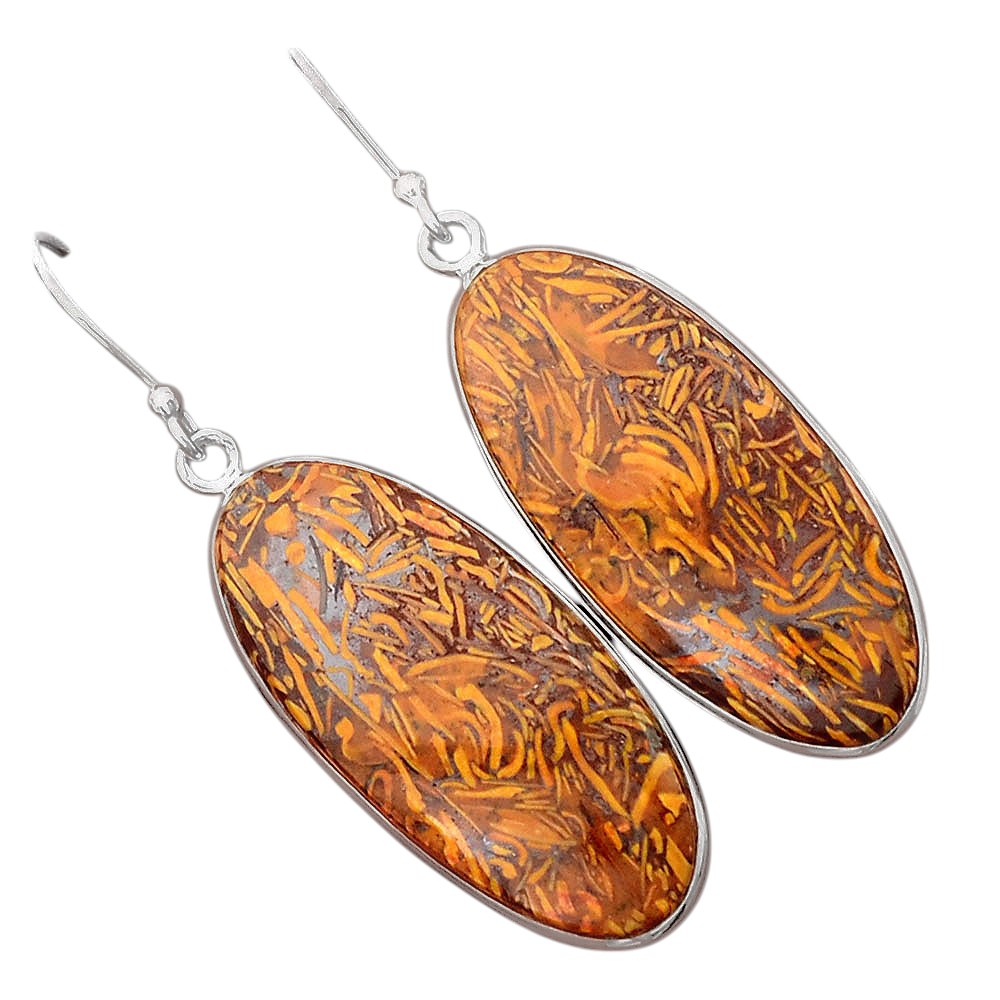Natural Coquina Fossil Jasper India Earrings E-1001 SDE87862-1
