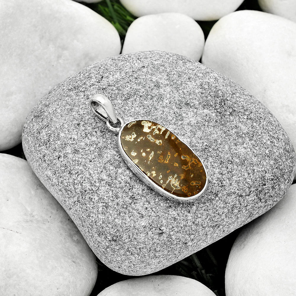 Natural Palm Root Fossil Agate Pendant P-1001 SDP125421-1