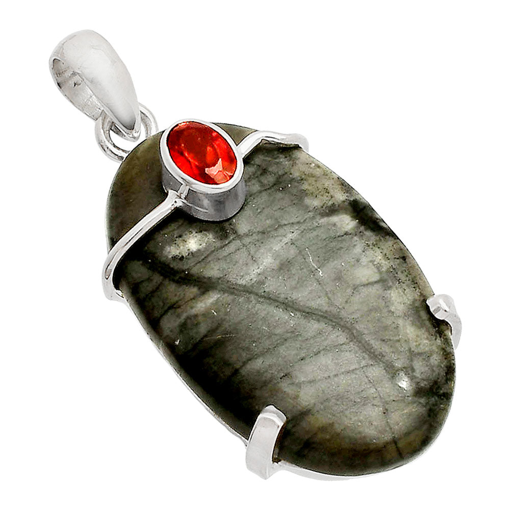 Natural Picasso Jasper & Garnet Pendant P-1386 SDP148485-1