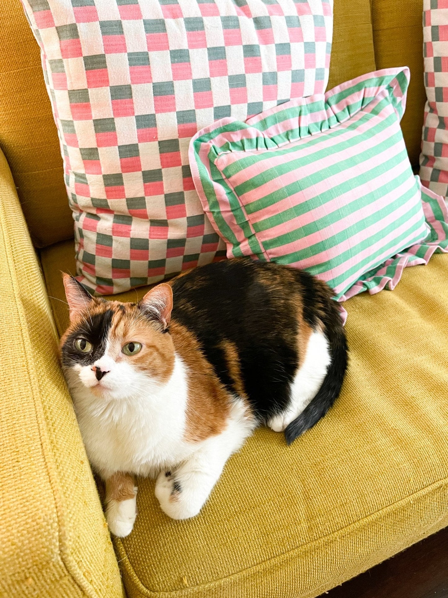 Flora Stripe Pillow