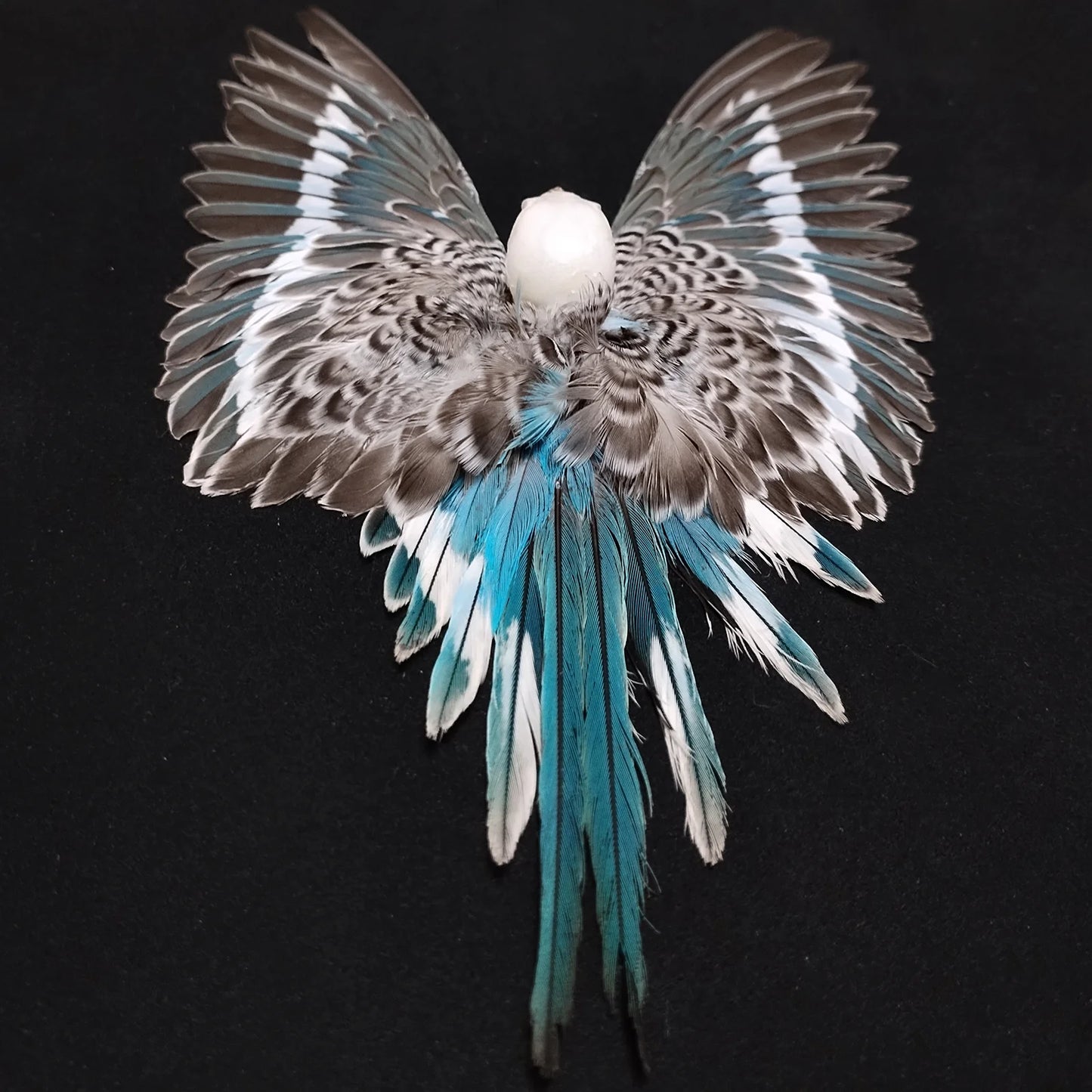 Real Feather 3D Parrot Bird Specimen Authentic Budgerigar Handicrafts With Frame Exhibition Display Art Desktop Painting Gifts