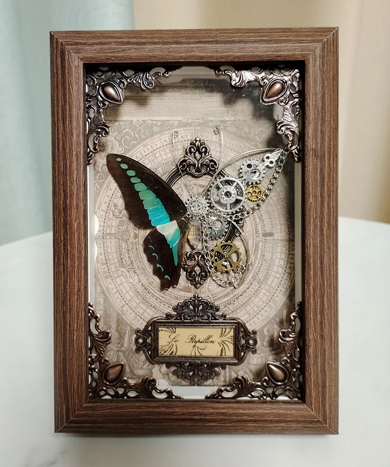 Real Butterfly Specimen Framed 3D Mechanical Butterflies Collection Punk Retro Style Handcraft Home Decor Education Unique Gift