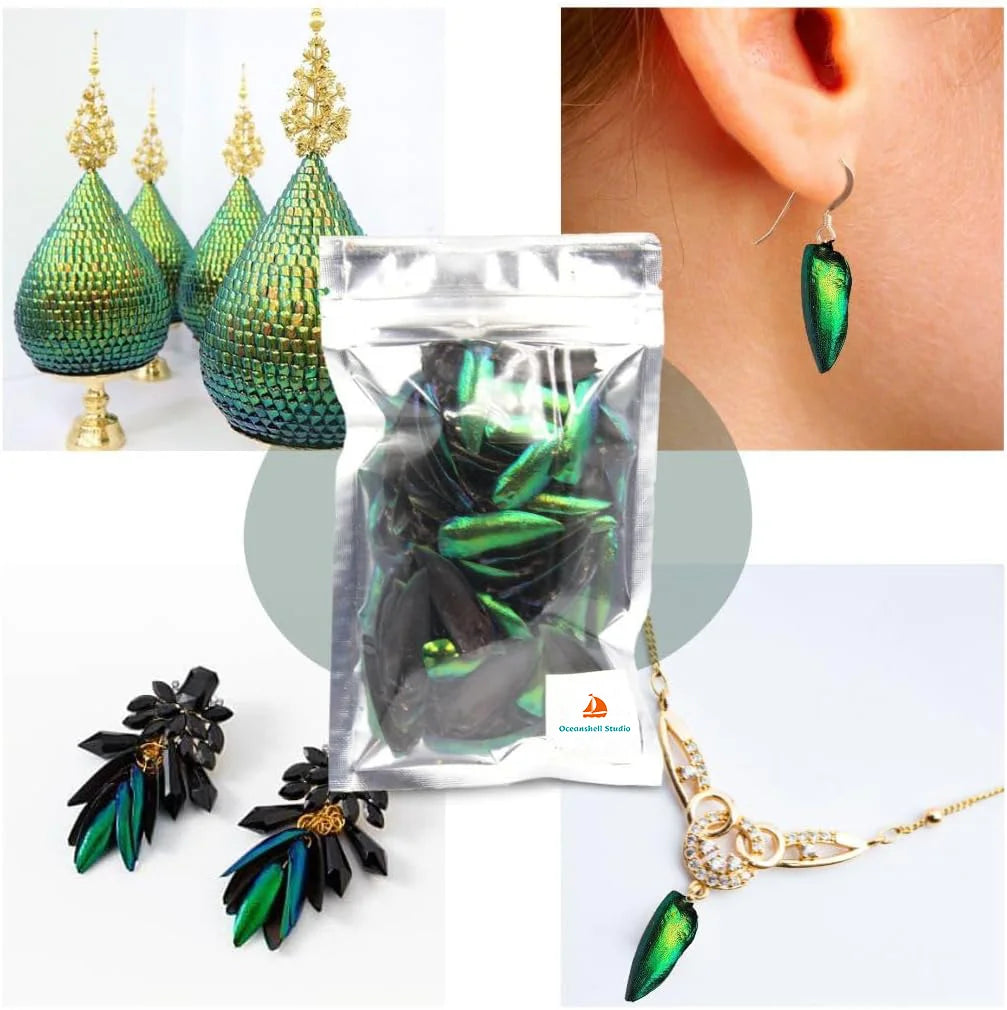 50 Pieces Jewel Beetle Elytra Emerald Green Real Elytron Wings Natural Insect Coleoptera Handmade Necklace Set DIY Earrings