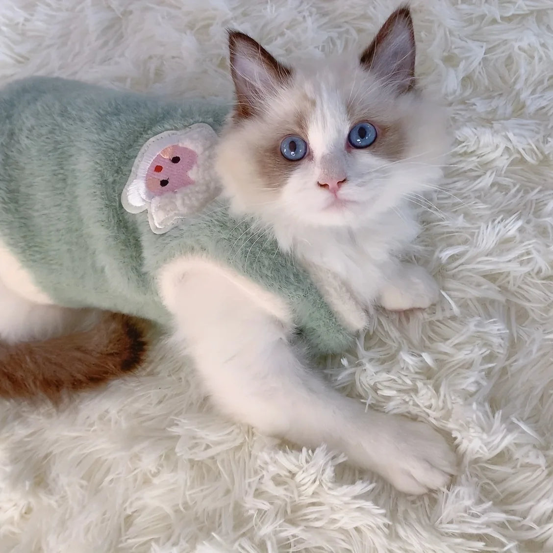 Warm & Stylish Cat Sweater for Winter Comfort