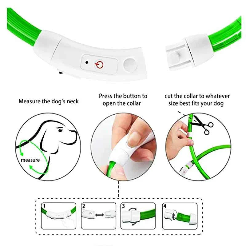 LED Pet Dog Collar for Night Safety | Bright USB Rechargeable