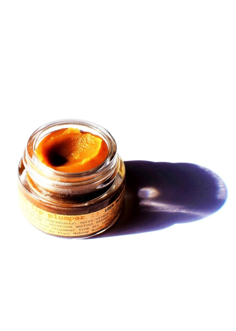 Cinnamon Lip Plumper