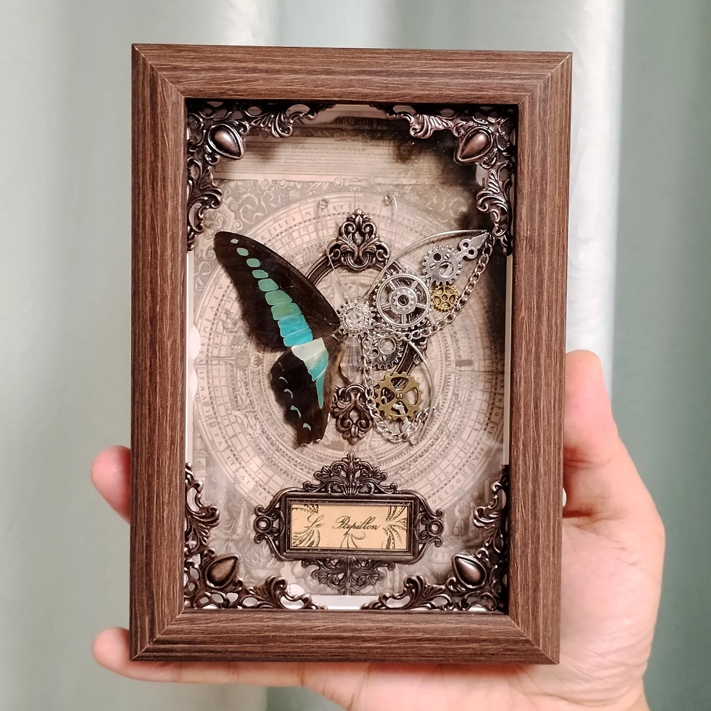 Real Butterfly Specimen Framed 3D Mechanical Butterflies Collection Punk Retro Style Handcraft Home Decor Education Unique Gift