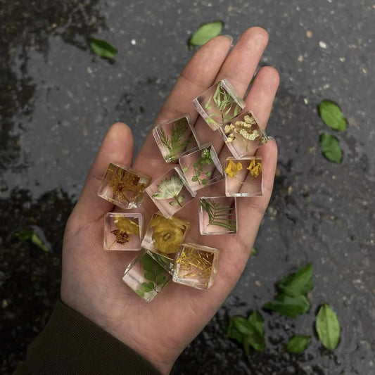 Plant Embossingflowers Dried Flower Specimen Decoration DIY Resin Drop Glue Flower Material Decoration Gifts