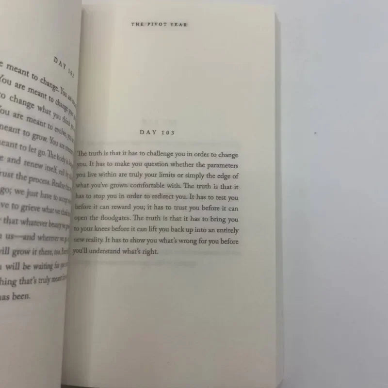 Book: An Interesting Transitions Year Where You Can Learn A Lot, English Reading Book Novels, Preferred Gift For Children