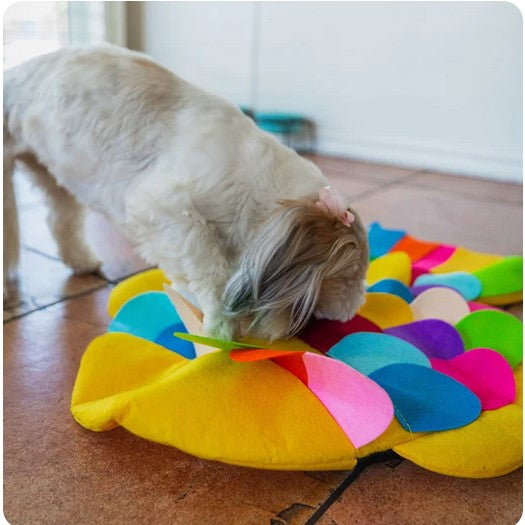 Hide a Treat Snuffle Mat for Dogs