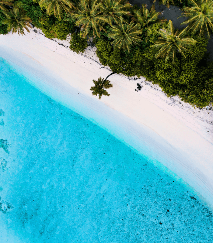 South Pacific Waters - Premium Fragrance Oil