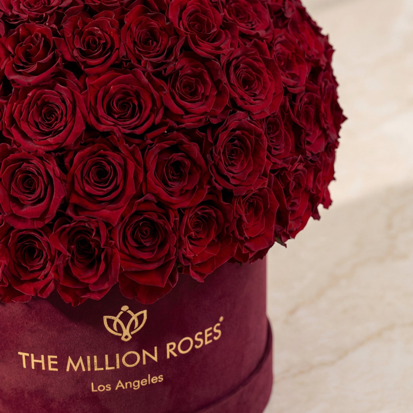 Supreme Bordeaux Suede Superdome Box | Burgundy Roses