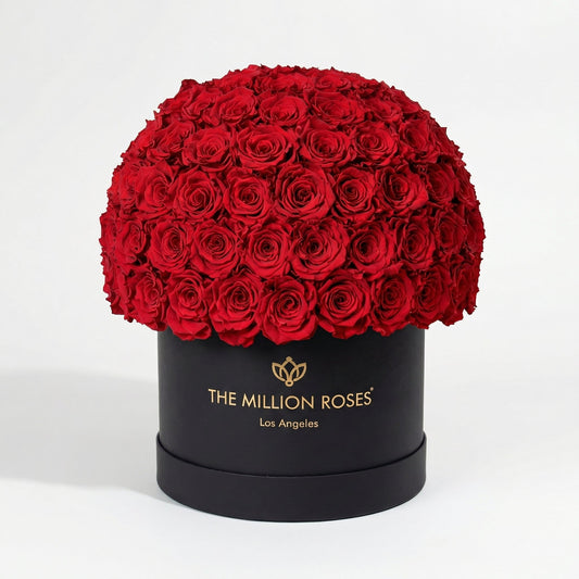 Supreme Black Superdome Box | Red Roses
